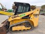 General Appearance with Paint