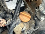 Engine with Oil Leaks