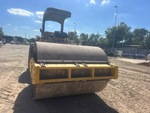 General Appearance with Paint