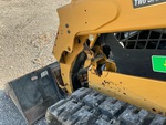 General Appearance with Paint