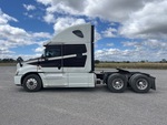 General Appearance with Paint