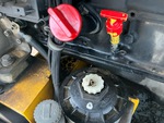 Engine with Oil Leaks