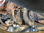 Engine with Exhaust System