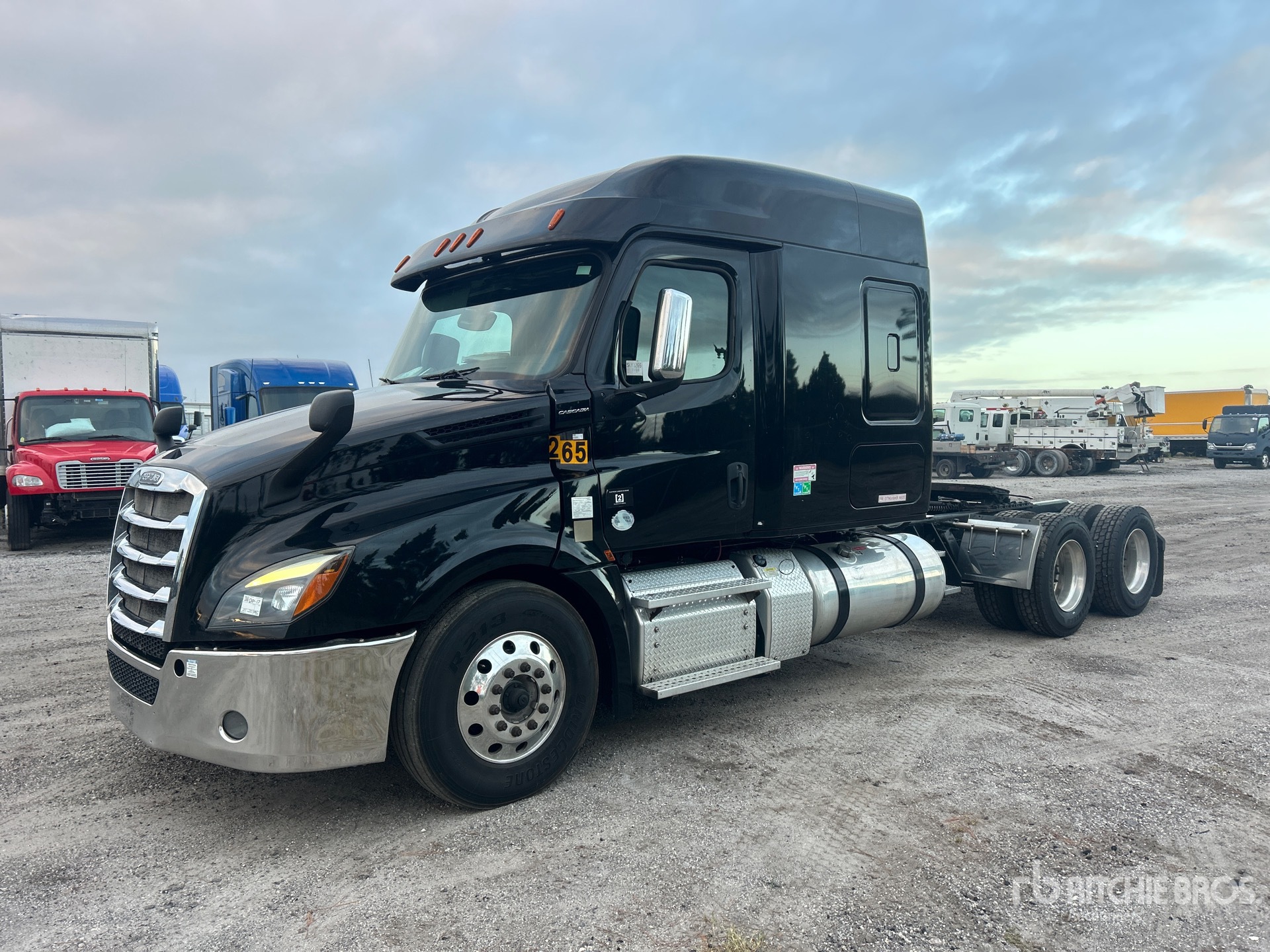 2019 Freightliner CASCADIA 126
