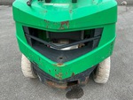 General Appearance with Paint