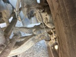 Brakes with