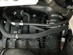 Engine with Exhaust System