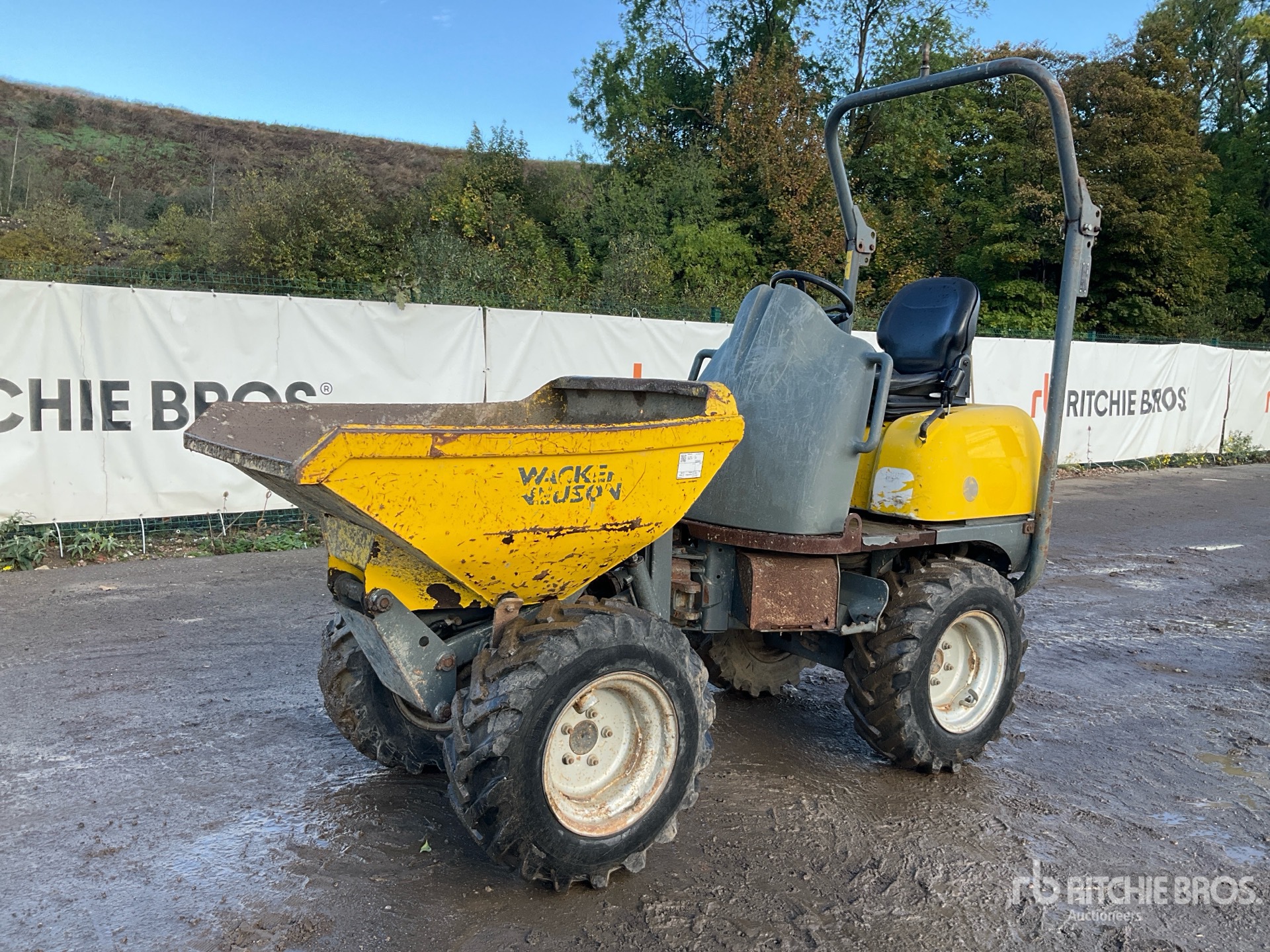 Photo of 2016 Wacker Neuson 1001