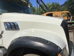 General Appearance with Paint