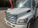 General Appearance with Peinture