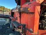 General Appearance with Paint