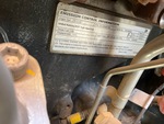 Motor with Emission Label