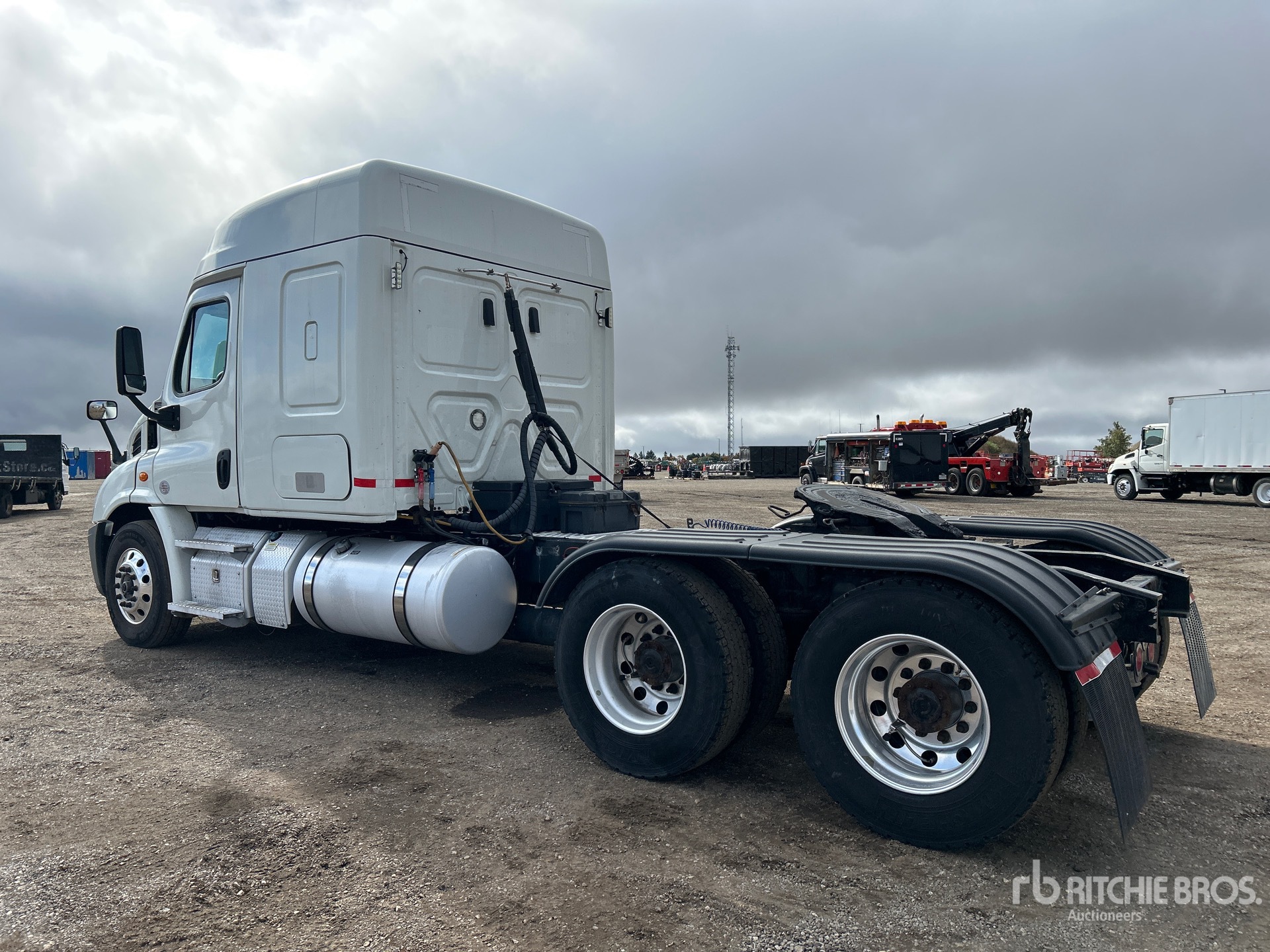 2020 Freightliner CASCADIA 113