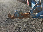General Appearance with Paint