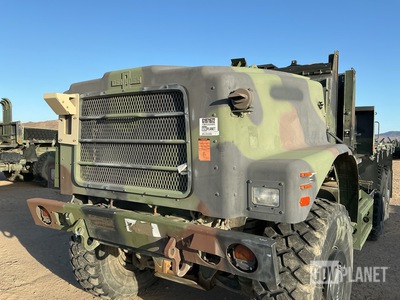 General Appearance with Paint