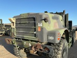General Appearance with Paint