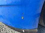 General Appearance with Paint