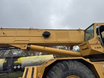 General Appearance with Paint