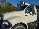 General Appearance with Paint