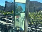 Cab with Mirrors