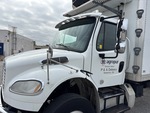General Appearance with Paint