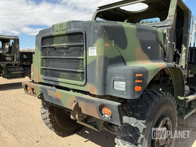 General Appearance with Paint