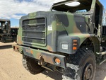 General Appearance with Paint