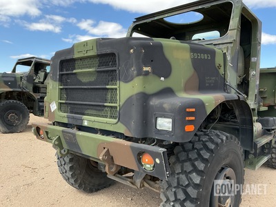 General Appearance with Paint