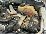 Silnik with Cooling System Leaks