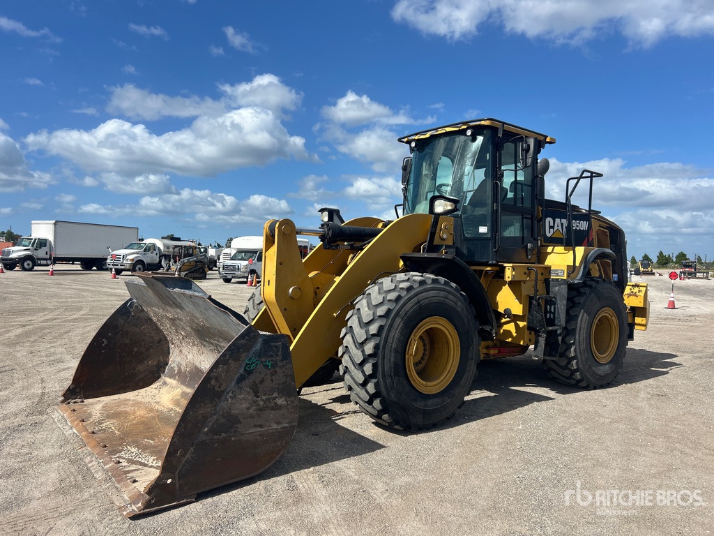 General Appearance with Spin