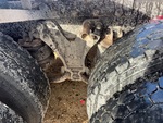 4 Underbody - Truck with