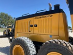 General Appearance with Paint