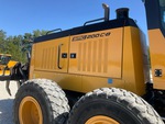 General Appearance with Paint