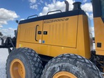 General Appearance with Paint