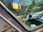 General Appearance with Glass