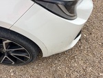 General Appearance with Paint