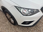 General Appearance with Paint