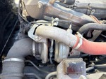 Engine with Exhaust System