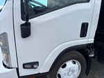 General Appearance with Paint