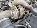 Engine with Exhaust System