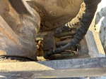 Specialty with Quick Coupler