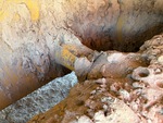 Undercarriage with Pivot Shafts