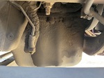 Engine with Oil Leaks