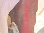 General Appearance with Frame Stamp Serial Number/VIN Photo