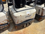 General Appearance with Paint
