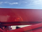 General Appearance with Paint