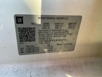 General Appearance with Frame Stamp Serial Number/VIN Photo