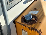 Engine with DEF / AdBlue Tank