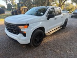 General Appearance with Paint