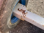 Chassis Photos with